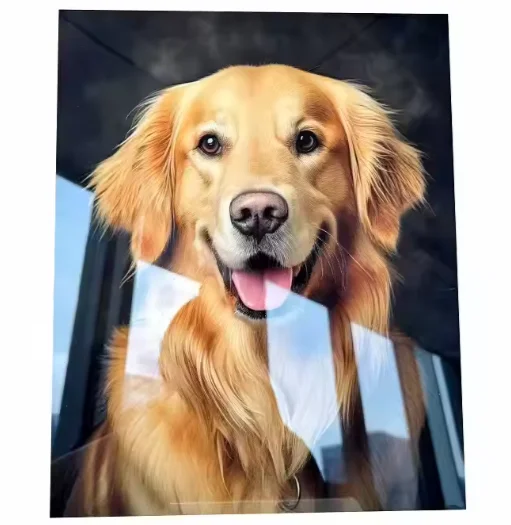 Plaque Aluminium Sublimation A4 épaisseur 1 mm Blanc Brillant – Image 4