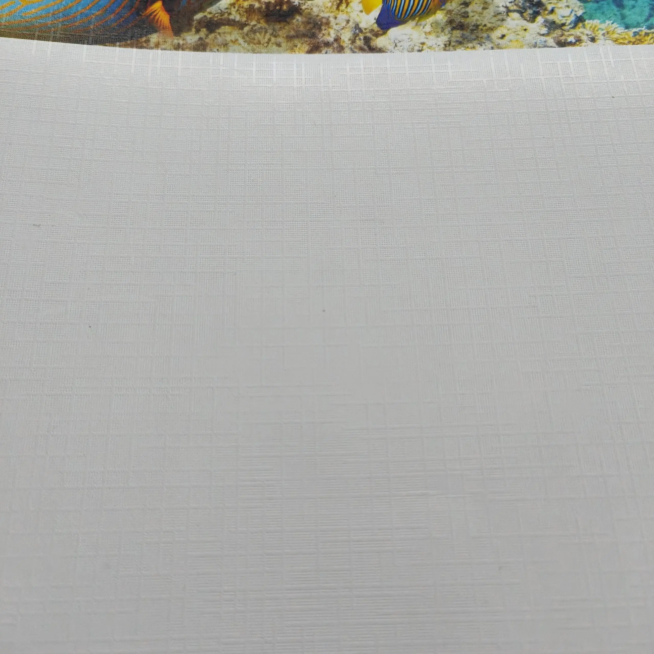 JOJO Papier Cartes Visite A4 300g Embossé Inkjet – Image 4