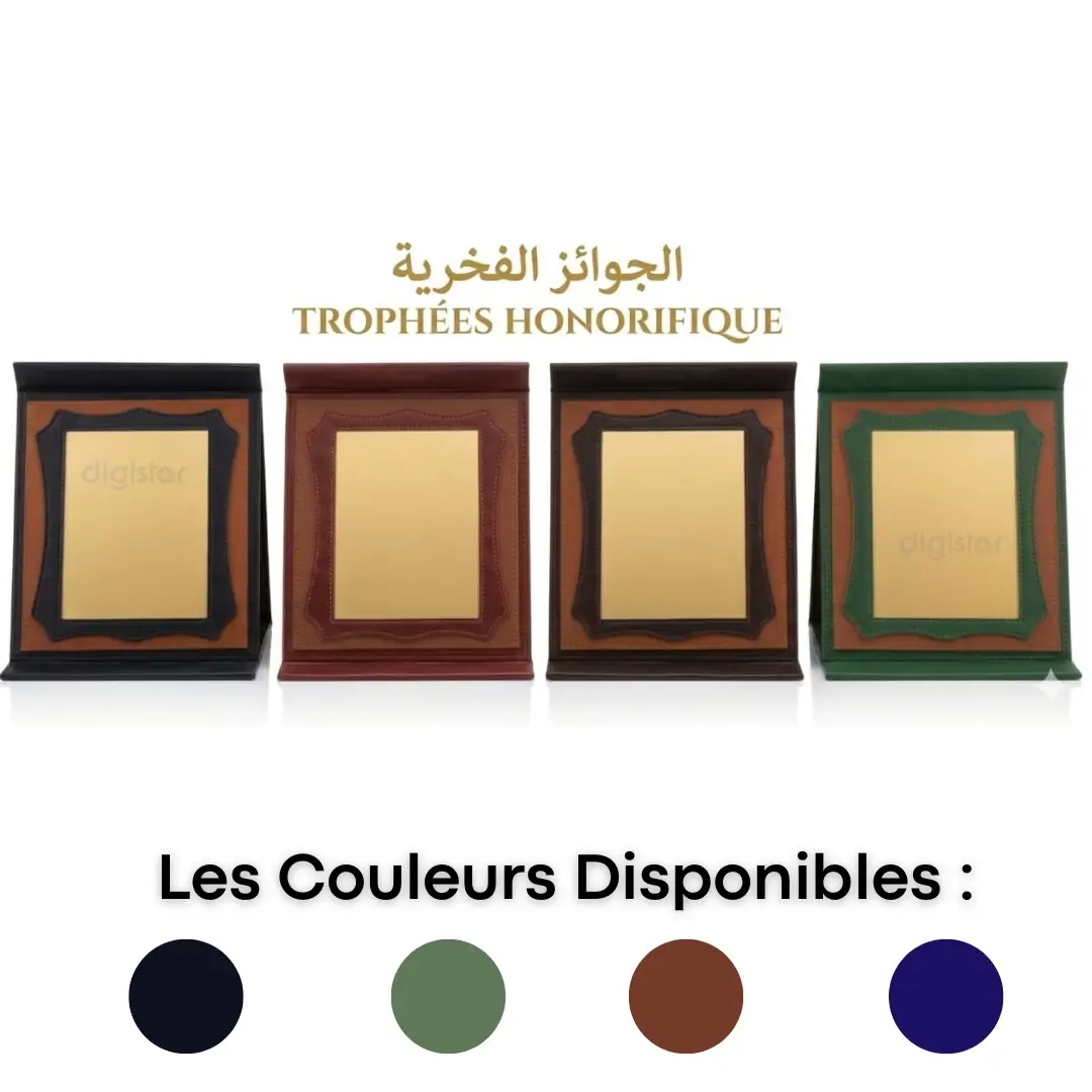 Plaque Trophée Honorifique Acrylique Personnalisable