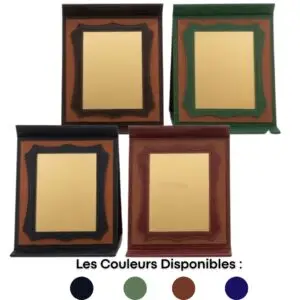 Plaque Trophée Honorifique Acrylique Personnalisable