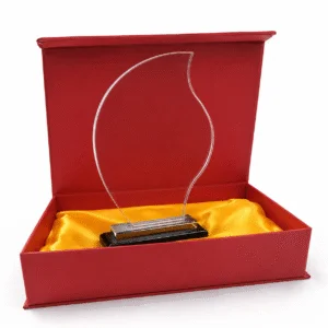 Trophée en Cristal Personnalisable par Gravure Laser avec Coffret de Présentation
